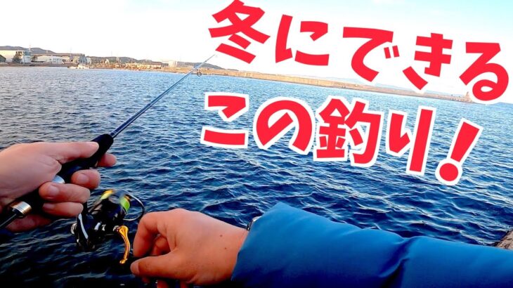 冬に大アジが釣れる漁港でデイアジングすると