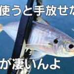 【アジング】中毒性の強いワームでアジを数釣る為に朝マズメにしてる大切な事