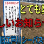 大切で悲しいお知らせ…今日も旧江戸川シーバス情報