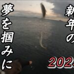 アジ！アジ！！〇〇？！？初釣りはサビキでお祭りだ【愛知・豊浜海釣り桟橋】