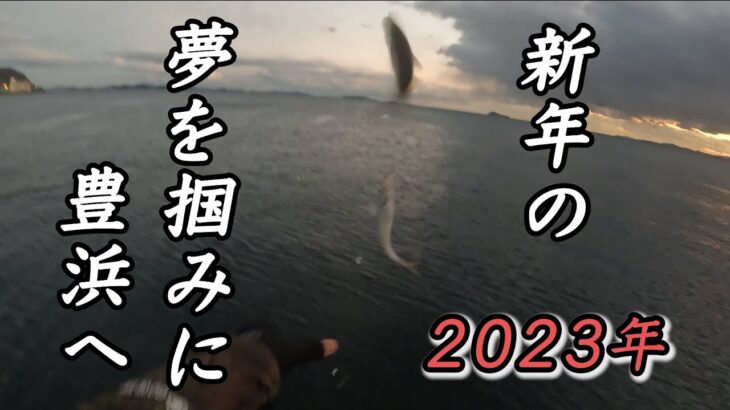 アジ！アジ！！〇〇？！？初釣りはサビキでお祭りだ【愛知・豊浜海釣り桟橋】