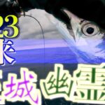 【タチウオジギング前編】常磐エリアの極上太刀魚を釣りまくる！