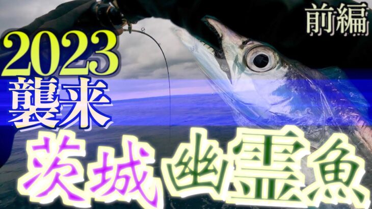 【タチウオジギング前編】常磐エリアの極上太刀魚を釣りまくる！