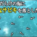 無限に湧く回遊魚の中に針だらけの特殊なサビキを落としたら…【サビキが面白くて圧勝した話】