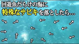 無限に湧く回遊魚の中に針だらけの特殊なサビキを落としたら…【サビキが面白くて圧勝した話】