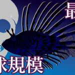 【復刻版】ブラックバスと学ぶ最強の外来魚