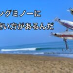 釣りのプロにルアーの使い方を教わってたら大物が釣れてびっくりした話。