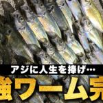 【アジング】あまりにも釣れすぎるワームの開発に成功！！ライトゲームのシーズン到来です。