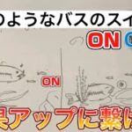 ウソのようなバスのスイッチのオンとオフ〜バスの習性〜