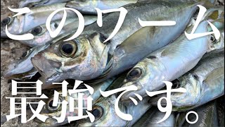 【アジング】本当は教えたくない最強ワームをお見せします。初のメンバー集結で本気のデイアジング尺アジ狙い！