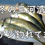 【サビキ釣り】真冬でも釣れるポテンシャル【三河湾・碧南海釣り広場】