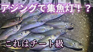 アジングで集魚灯使った結果【初釣り】大分釣りyoutubeしるすた#39