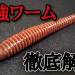 10月～3月、激釣れの最強ワームを徹底解説してみた「バス釣り」「釣れるワーム」「スモールマウスバス」