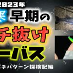 厳寒早期のバチ抜けシーバス – 1月の川バチパターン探検記2023開幕編 – 東京湾奥