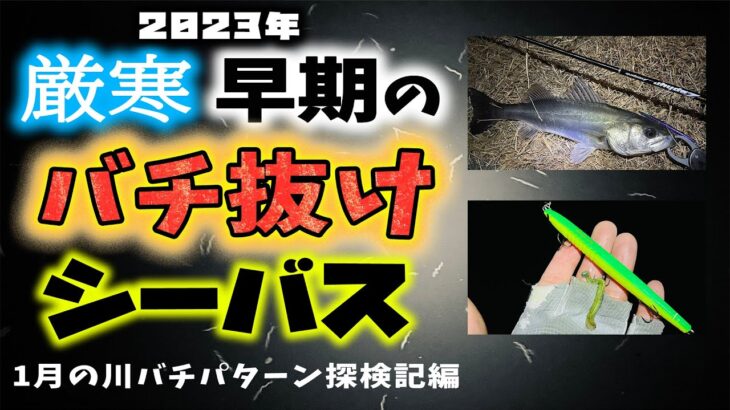 厳寒早期のバチ抜けシーバス – 1月の川バチパターン探検記2023開幕編 – 東京湾奥