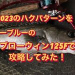 【ブローウィン125F】でハクパターンを攻略してみた！　ブルーブルー　BlueBlue   シーバス釣り　ジャーキング