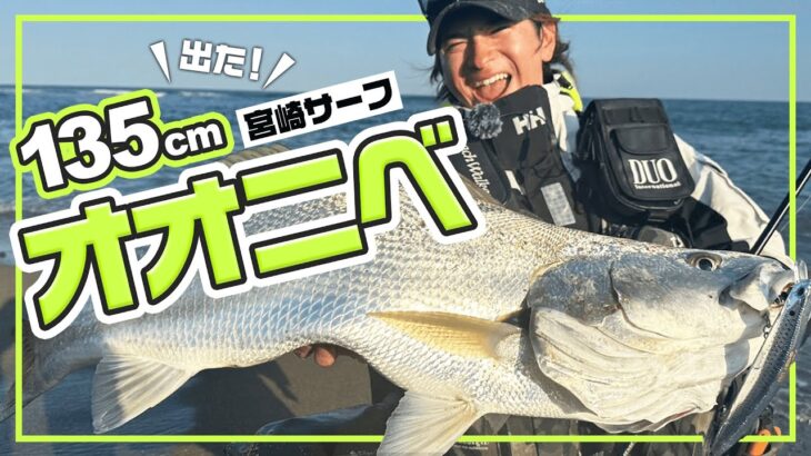 【サーフ】宮崎のサーフで出た！135cmのオオニベ【ルアパラ九州】