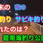 2月末の夜のエサ釣り サビキ釣りで釣れたのは？碧南海釣り公園 碧南釣り広場