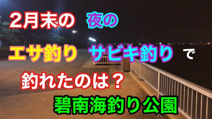 2月末の夜のエサ釣り サビキ釣りで釣れたのは？碧南海釣り公園 碧南釣り広場