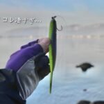 【-2°の世界】氷点下の釣りでまさかの連発。しかも超デカい・・