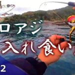 【サビキ釣り】離島のサビキは一味違う！【八丈島遠征#2】