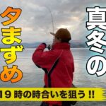 【この時間で釣る‼︎ 2月中旬 真冬の夕まずめアジング！】SOTvol,181