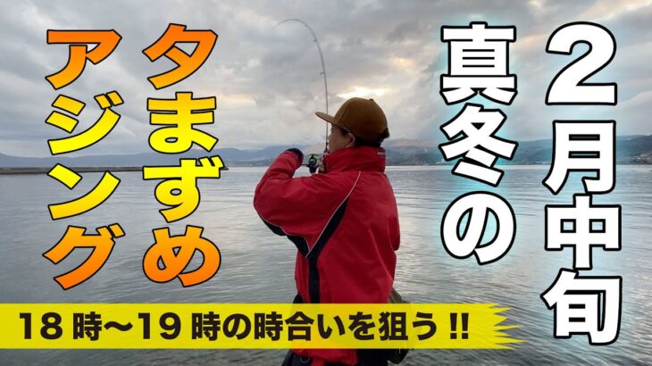 【この時間で釣る‼︎ 2月中旬 真冬の夕まずめアジング！】SOTvol,181