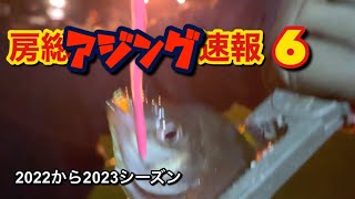 房総アジング速報2022～2023シーズン 「最強寒波の中で50アップ女性釣り師けいちんは釣る」 2023年1月28日　 千葉県勝浦市の各港