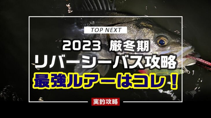 2023 厳寒期のリバーシーバス攻略｜最強ルアーはやっぱりコレだ！