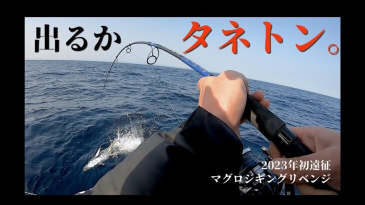 2023年初遠征。スピニングタックルで挑むマグロジギング・リベンジ 編【デュアルエッジ643LR×ツインパワーSW】