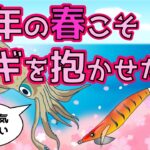 【2023】春エギングのポイント/色の選び方/号数とタイプ/シャクリ方/アオリイカの一生/アンケート結果による春エギング攻略法