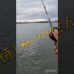 2023.2.14昨夜に続き朝から琵琶湖です😅琵琶湖ブラックバス釣り！#fishing #ルアーフィッシング