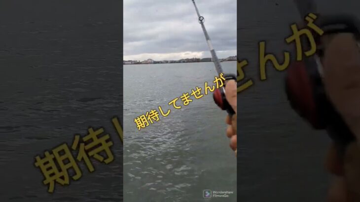 2023.2.14昨夜に続き朝から琵琶湖です😅琵琶湖ブラックバス釣り！#fishing #ルアーフィッシング