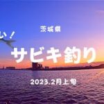 2023.2月上旬【茨城県日立市】アジ狙い！漁港でサビキ釣り#63