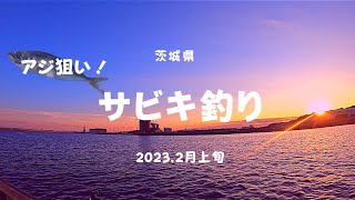 2023.2月上旬【茨城県日立市】アジ狙い！漁港でサビキ釣り#63