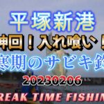 20230206 神回！平塚新港 入れ喰い 厳寒期のサビキ釣り！