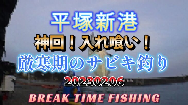 20230206 神回！平塚新港 入れ喰い 厳寒期のサビキ釣り！