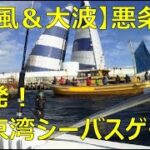 強風大荒れの東京湾で連発！林遊船さんで行くシーバス釣り2023年1月21日