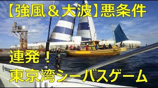 強風大荒れの東京湾で連発！林遊船さんで行くシーバス釣り2023年1月21日