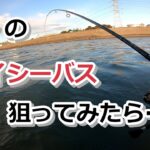 真冬のデイシーバス狙ってみたら…【2023年1月28日】