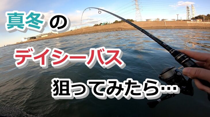 真冬のデイシーバス狙ってみたら…【2023年1月28日】