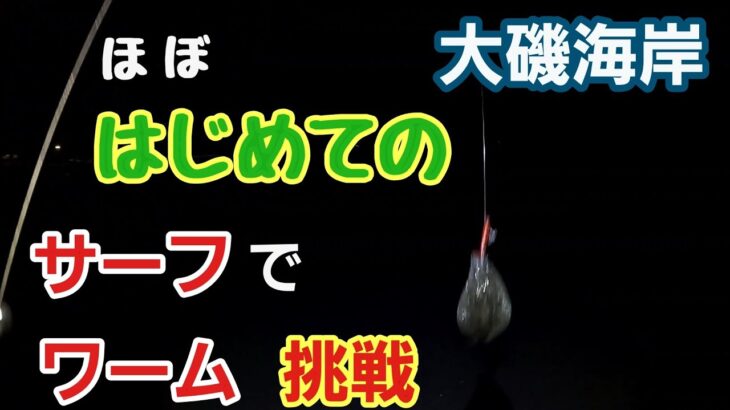 【大磯海岸】ほぼはじめてのサーフヒラメ  に挑戦　ワームを投げる　2023年2月中旬 小潮、若潮 釣り