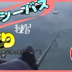 【2023年2月】冬のシーバス釣り【修行】