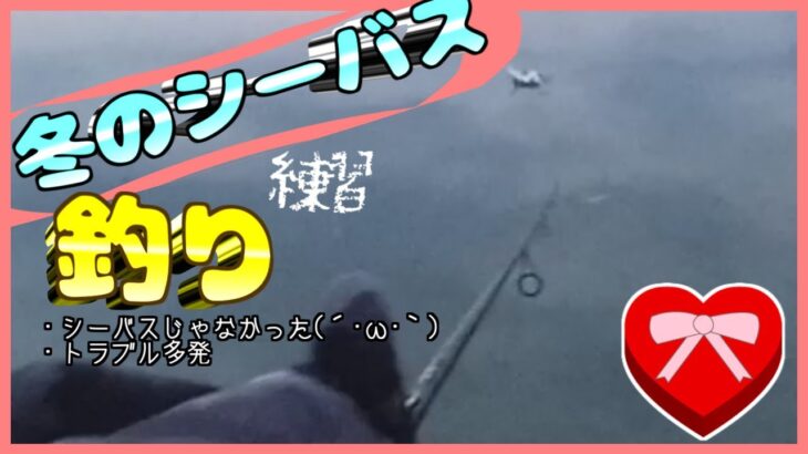 【2023年2月】冬のシーバス釣り【修行】