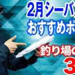 【2023年】2月シーバス釣りおすすめポイントを紹介！オヌマンのシーバス塾