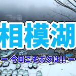 【ブラックバス釣り　2023年2月中旬　相模湖】今年初フィッシュ？今日なんて劇アツでしょう。