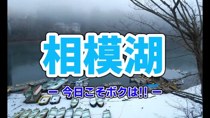 【ブラックバス釣り　2023年2月中旬　相模湖】今年初フィッシュ？今日なんて劇アツでしょう。