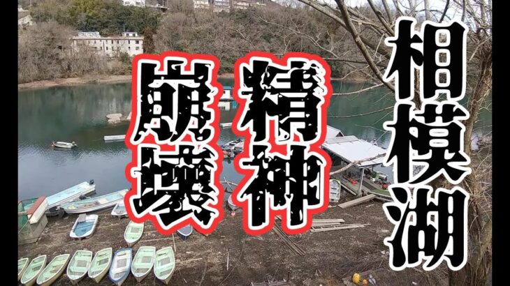 【ブラックバス釣り　2023年2月下旬　相模湖】釣れなさ過ぎて…。