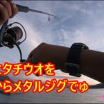 晩夏の夕マズメ太刀魚。スーパーライトショアジギング。ジギングフルモン203