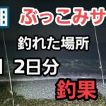 【西湘サーフ】ぶっこみサビキ 釣れた場所、同じ方法 で2日やった結果　2023年1月下旬 小潮、長潮 釣果